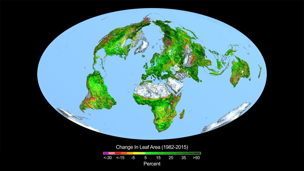 This image shows the change in leaf area across the globe from 1982-2015. Image credit: Boston University/R. Myneni