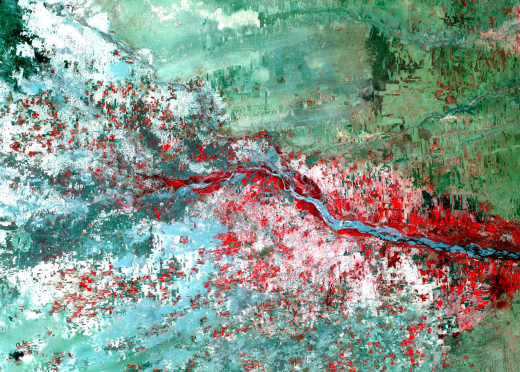 Mosquitoes carry a variety of diseases including malaria, yellow fever, West Nile virus and Rift Valley Fever. Warmer temperatures and increased flooding -- both predicted by climate models in some regions -- can increase their habitat. In Yemen, an outbreak of Rift Valley Fever in 2000 was linked to widespread flooding in semi-arid areas. The Landsat satellite enabled researchers to target Rift Valley Fever hotspots by looking for potential mosquito habitat in vegetation that had cropped up after the floods. In this false-color image, heavily vegetated areas appear in red. 

Image taken by the Landsat 7 satellite in September 2000. 
Credit: NASA/USGS Landsat. 