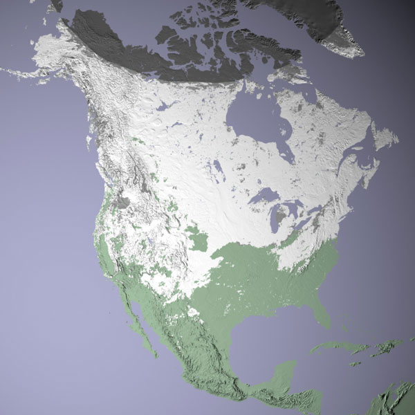 MODIS satellite shows snow cover for North America in January 2001.
