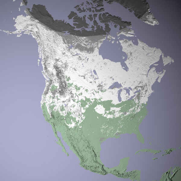 MODIS satellite shows snow cover for North America in January 2002.