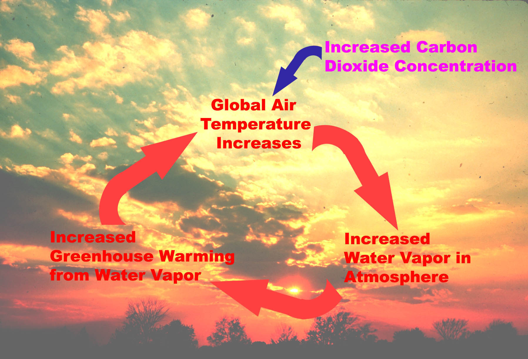 This diagram shows the mechanisms behind a positive water vapor feedback loop.