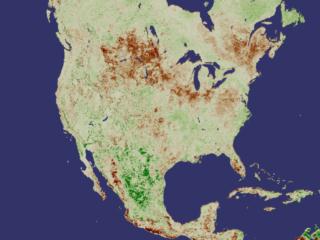 North America with very little vegetation, mainly showing up in non-coastal areas of Mexico, Texas, and New Mexico.  Otherwise, flecks appear throughout the rest of the continent.