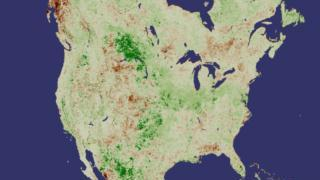 North America NDVI 2000 July Anomaly.  Green is more vegetation than average, brown is a deficit of vegetation with respect to the average.