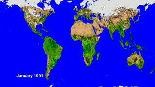 Global vegetation index for 1991, as measured by AVHRR