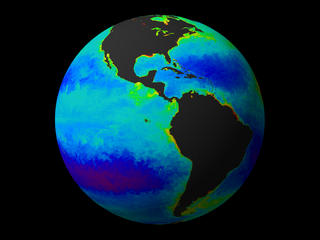 SeaWiFS satellite image of carbon cycle on land