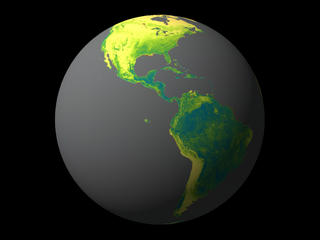 SeaWiFS satellite image of ocean carbon cycle