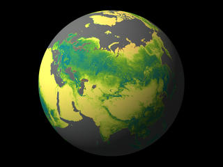 Carbon has been stored in forests throughout North America, Europe, and Asia