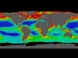 phytoplankton concentrations map