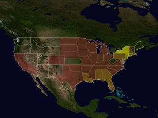 Map of U.S. showing cases of WNV in humans, 1999-2002.