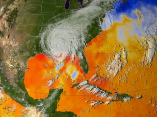 Sea surface temperature showing Hurricane Katrina's cold water wake in blues (08-29-2005)
