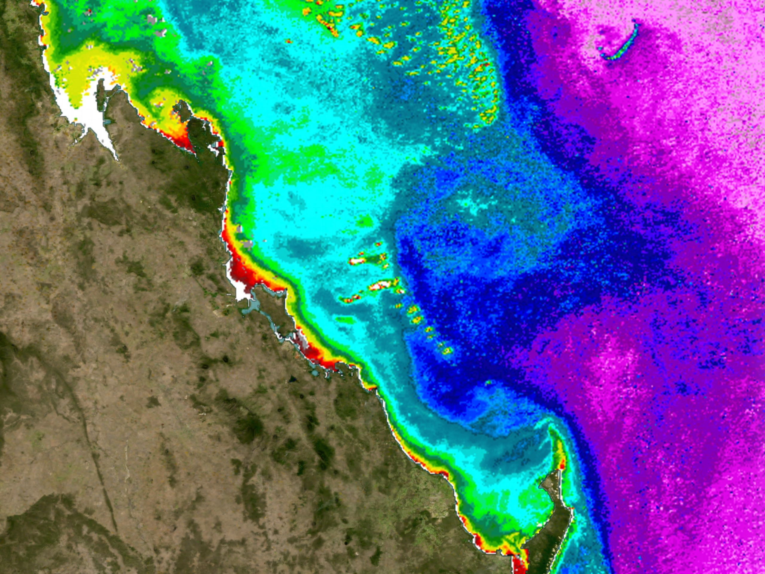 MODIS image for the southern Great Barrier Reef showing chlorophyll concentration showing oceanographic patterns.