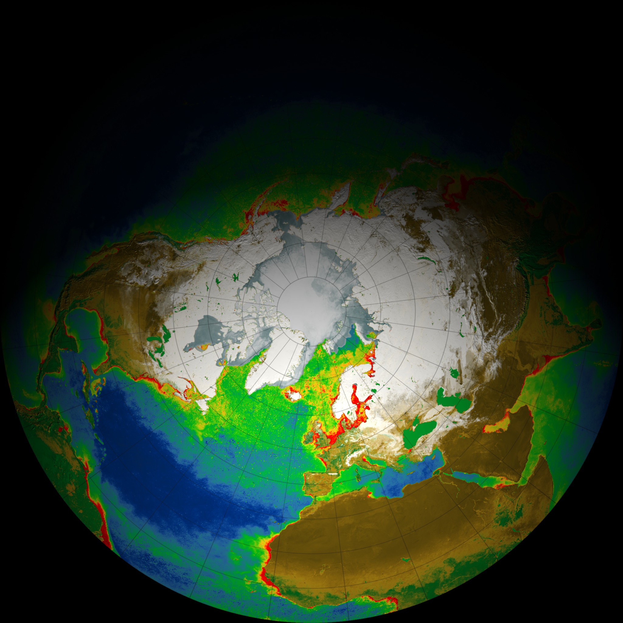 Hemisphere view of the global biosphere (fisheye lens render)
