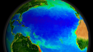 Link to Recent Story entitled: SeaWiFS Biosphere Data over the North Atlantic