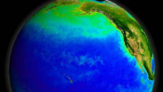 Link to Recent Story entitled: SeaWiFS Biosphere Data over the North Pacific