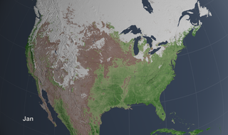 Preview Image for Seasonal Vegetation and Snow Change