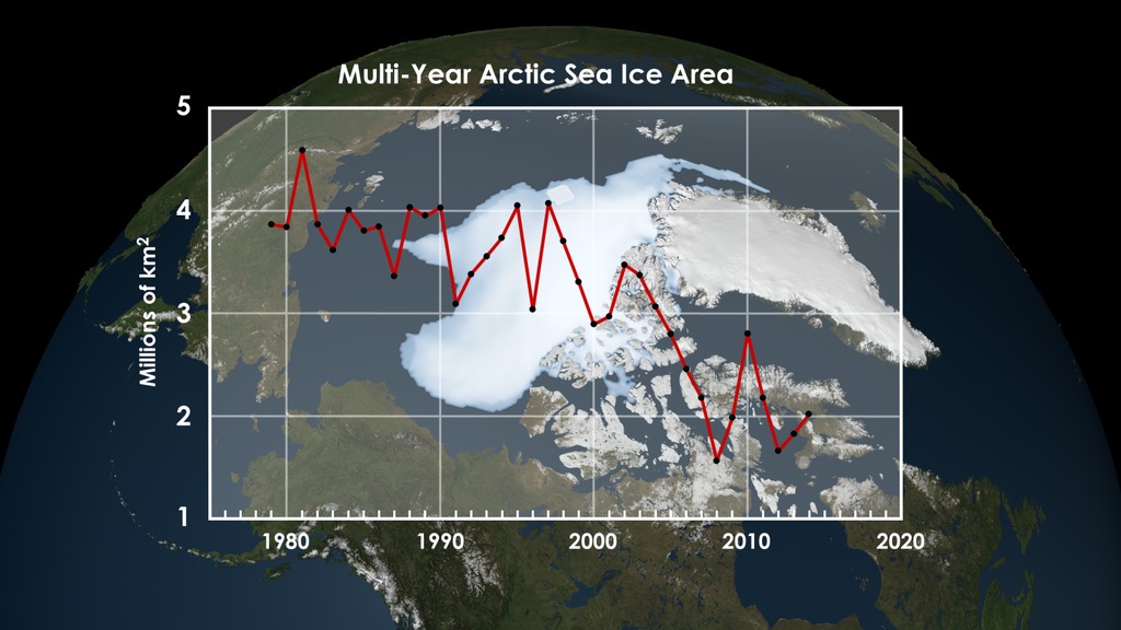 Multiyear Arctic Ice