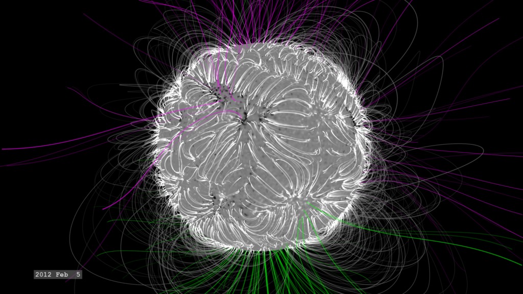 Preview Image for The Dynamic Solar Magnetic Field