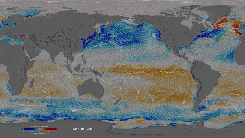 This animation shows the ocean surface CO2 flux between 1/1/2009 and 12/31/2010.   Blue colors indicate uptake and orange-red colors indicate outgassing of ocean carbon.  The pathlines indicate surface wind stress.
