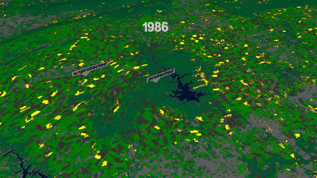 Visualization showing forest change in various locations from 1986 to 2010This video is also available on our YouTube channel.