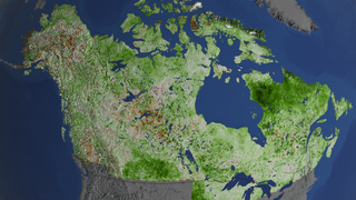 Link to Recent Story entitled: Vegetation Greening Trend in Canada and Alaska: 1984-2012