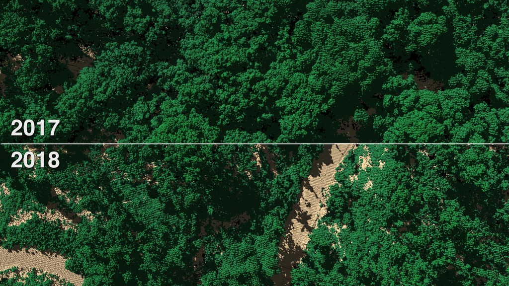 Animation that does of a low fly over of El Yunque National Forest, Puerto Rico. The entire animation is split screen showing the 2017 data on top and 2018 on bottom. Notice the dense lush forest canopy in 2017 and how it covers and shades much of the forest floor. However, in 2018, after Maria devastated the forest in late 2017, the tree canopy has been greatly thinned exposing much more of the forest floor.