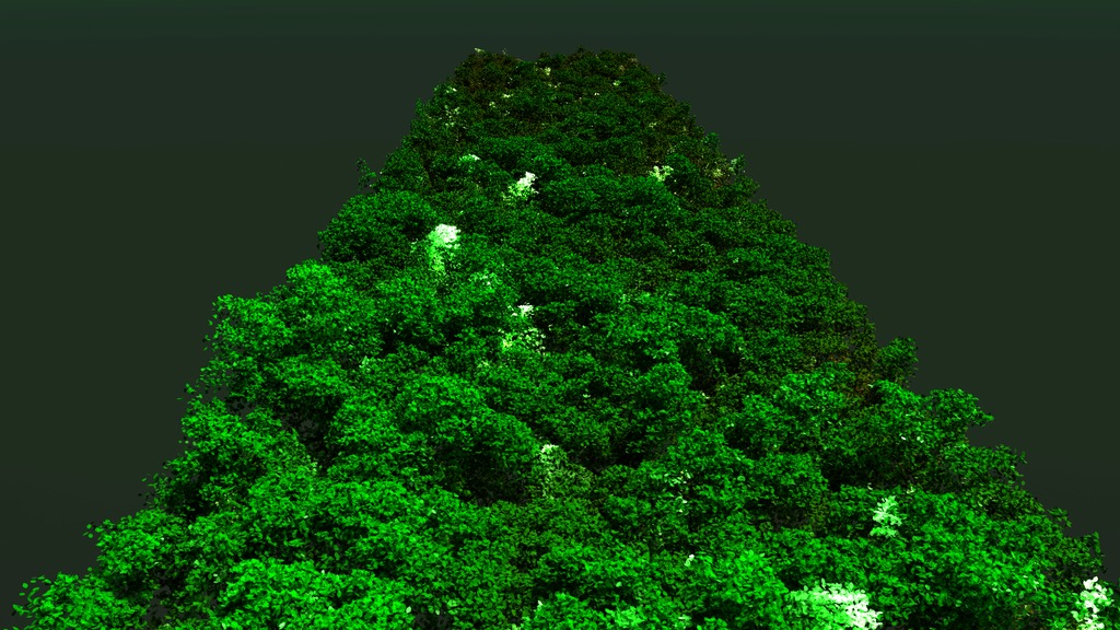 This data visualization starts in 2013 with an airplane collecting lidar data. As the plane flies overhead, the stationary viewer finds themselves amongst the recently collected treetop canopy. The viewer then drifts upward getting a better view of the beginning of the data swath. Areas that change between 2013 and 2014 are then highlighted and the data transitions fully to what the canopy looked like in 2014. Next, areas of change between 2014 to 2016 are highlighted and then fully transition to the canopy in 2016. Being able to see this level of change allows scientists to carefully monitor the foliage turnover rate in this remote part of the world.