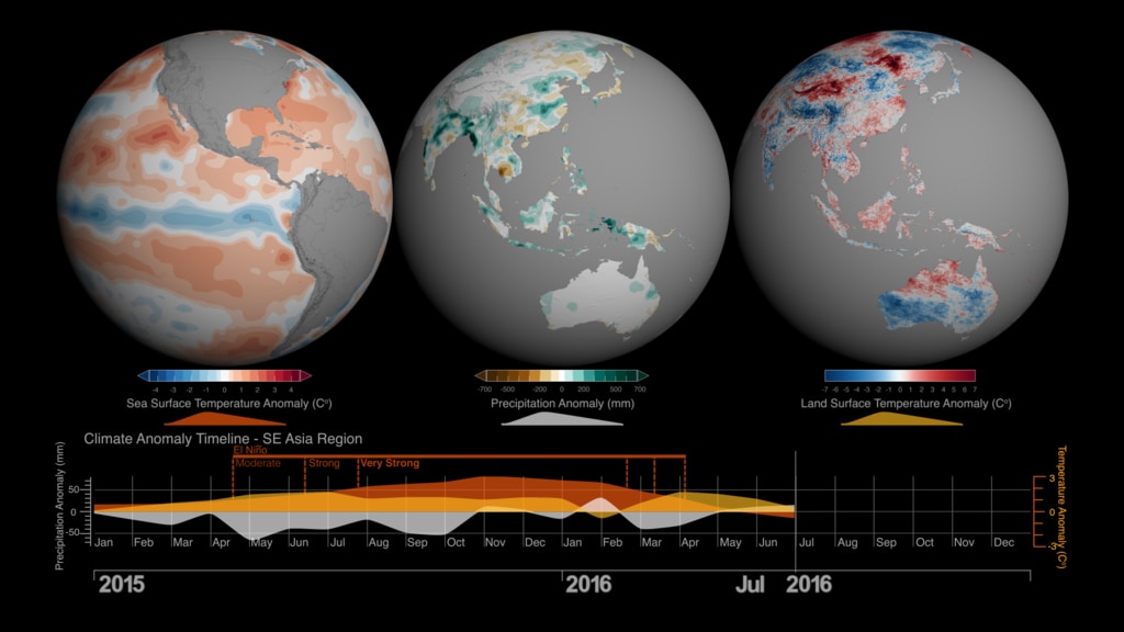 The 2015-2016 strong El Niño event brought changes to weather conditions across the globe that triggered regional infectious disease outbreaks, including mosquito-borne dengue fever in South East Asia. This visualization with corresponding multi-plot graph shows how Sea Surface Temperature anomalies in the equatorial Pacific Ocean (left), resulted in anomalous drought conditions (center) and increase in land surface temperatures (right) in South East Asia.  During the 2015-2016 El Niño event, the South East Asia region received below than normal precipitation resulting in drier and warner than normal conditions, which increased the populations of mosquito vectors in urban areas, where there are open water storage containers providing ideal habitats for mosquito production. In addition, the higher than normal temperature on land shortens the maturation time of larvae to adult mosquitos and induces frequent blood feeding/biting of humans by mosquito vectors resulting in the amplification of dengue disease outbreaks over the South East Asia region.