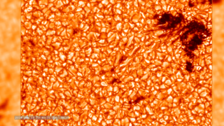 Large cooler regions on the solar photosphere where magnetic flux is concentrated.