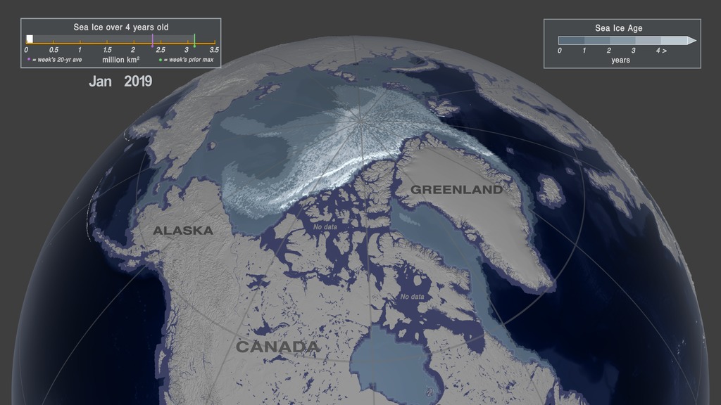 Pair 3A:  This image shows the Arctic sea ice age in the first week (week 1) of January, 2019.  During this week, the area covered by the sea ice that was 4 years of age or older extended 116,000 square kilometers.