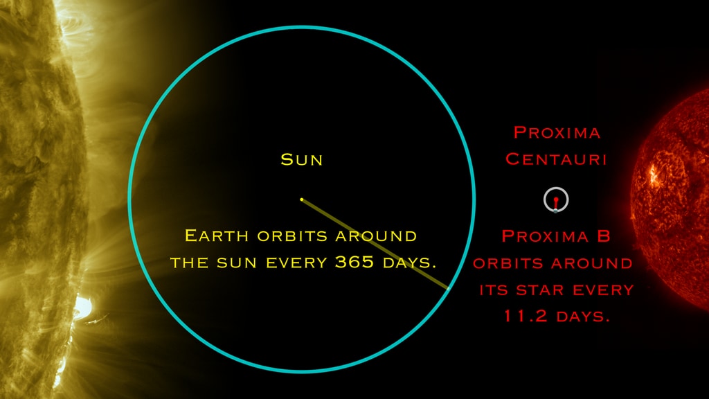 This data visualization compares the relative distances and speeds of Proxima B's orbit to the Earth's orbit. Proxima B rapidly orbits its sun every 11.2 days.