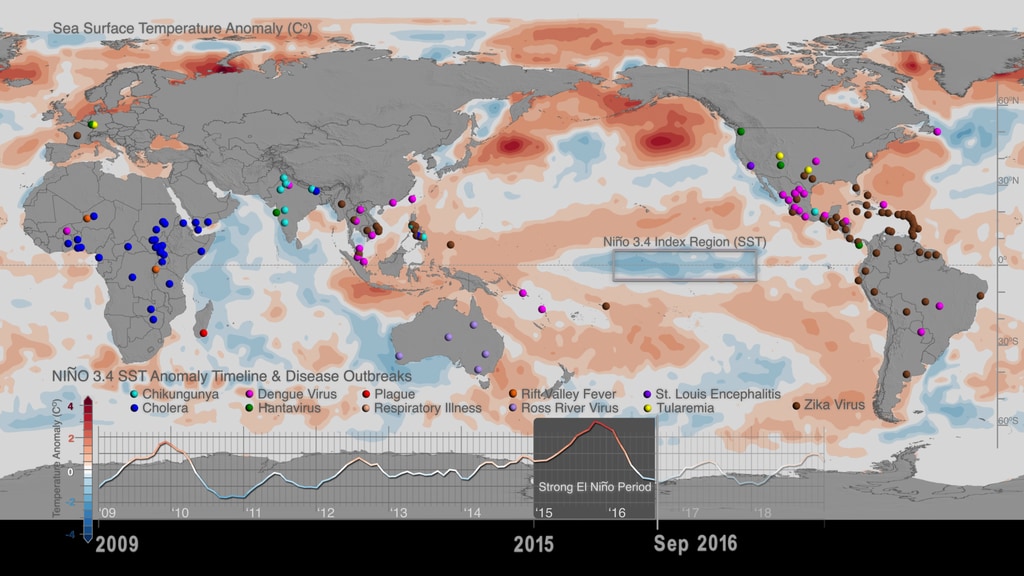 This visualization shows the variability in global sea surface temperature anomalies, the associated ENSO index timeline and locations of infectious disease outbreaks over the global land surface. 