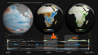 During the 2008-2011 period, ENSO events brought changes to weather conditions across the globe that triggered infectious disease outbreaks, such as mosquito-borne Rift Valley fever (RVF) in South Africa. This visualization with corresponding data dashboard shows how Sea Surface Temperature (SST) anomalies in the equatorial Pacific Ocean (left) gave rise to Precipitation (center) and Vegetation (right) Index Anomalies in South Africa. During La Niña events, Southern Africa receives persistent and above normal rainfall, which floods habitats of RVF mosquito vectors triggering hatching of RVF virus infected eggs. The above-normal rainfall is followed by an increase in vegetation creating appropriate habitats for the mosquito vectors setting the stage for RVF outbreak activity, which in simple terms means an uptick in mosquito populations that cause infections of domestic livestock and human populations with the RVF virus. However, in rare cases there is a departure from this canonical response, as we can observe in 2009-2010, when a mild El Niño event resulted in above normal vegetaton and a large RVF outbreak in  South Africa.