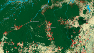 Link to Recent Story entitled: Novo Progresso Surrounding Region Land Use Data Over Time