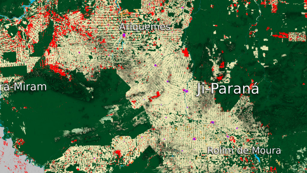 Preview Image for Ji-Paraná Land Use Data Over Time