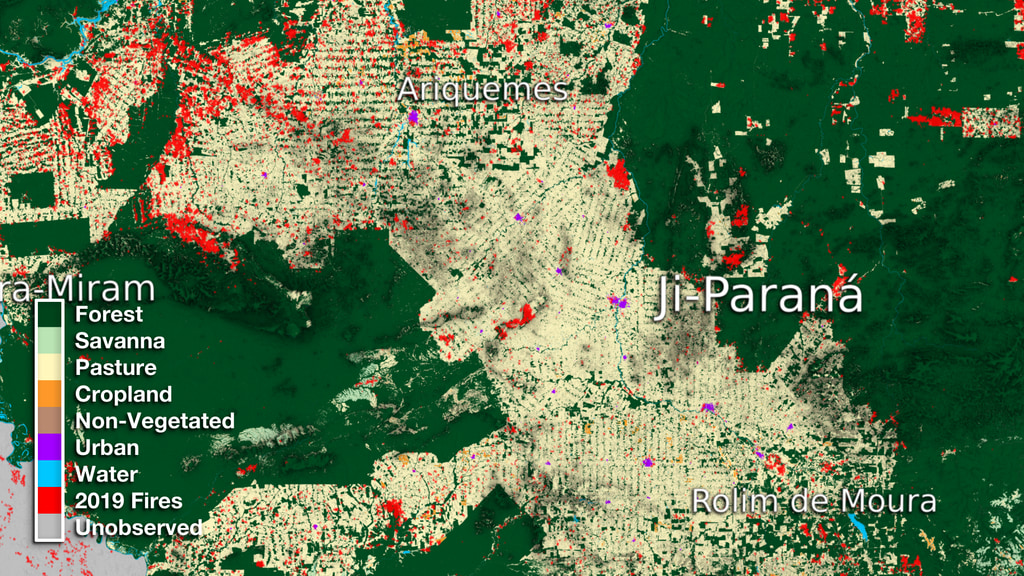 This data visualization begins with a wide view of Northern Brazil. It then zooms down to the region surrounding the town of Ji Parana and compares its relative size to the San Francisco Bay area. Next we cycle through over three decades of land use transformation showing cropland a pasture expansion over time. Lastly, we fade in 2019 fire data to indicate how the data will continue to change into the upcoming year.