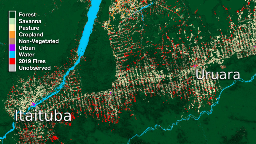 This data visualization begins with a wide view of Northern Brazil. It then zooms down to the region between Itaituba and Uruara and compares its relative size to the San Francisco Bay area. Next we cycle through over three decades of land use transformation showing pasture expansion over time. Lastly, we fade in 2019 fire data to indicate how the data will continue to change into the upcoming year.