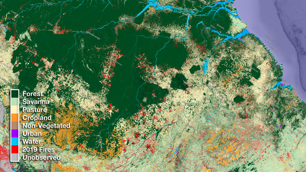 This data visualization begins with a wide view of Northern Brazil. While zooming in a little closer an image of the United States fades in to get the relative size of the region. Next we cycle through over three decades of transformation in the region showing land use change over time. Lastly, we fade in 2019 fire data to indicate how the data will continue to change into the upcoming year.