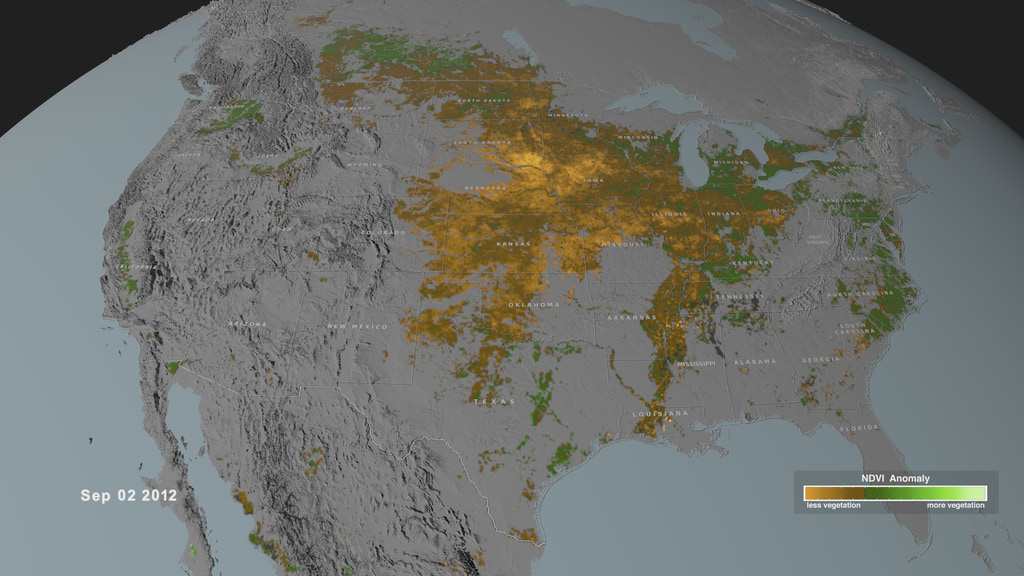 Preview Image for Normalized Difference Vegetation Index (NDVI) Anomaly in crop-growing regions for selected years