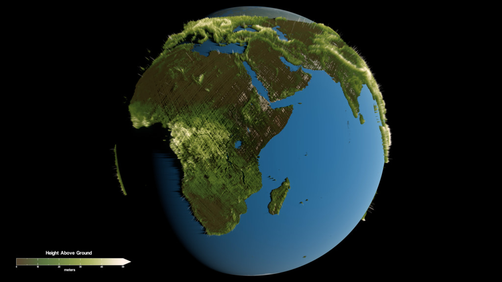 This visualization depicts a global view of forest height data collected by the GEDI instrument aboard the International Space Station.  Brown and dark green represent shorter vegetation.  Bright green and white represent taller vegetation.  This visualization uses data collected between April 2019 and April 2020. Height is exaggerated to depict variation at this scale.Coming soon to our YouTube channel.