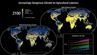 Link to Recent Story entitled: Increasingly Dangerous Climate for Agricultural Workers