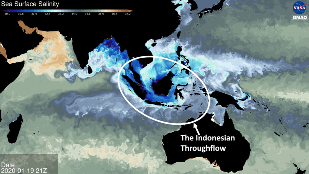 This animation of sea surface salinity shows the flow of freshwater from the Pacific into the Indian Ocean. The flow of freshwater (low salinity, blue color in 30-32 range) through narrow gaps of the maritime continent is known as Indonesian Throughflow.