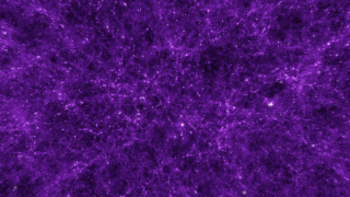 This visualization is a flight through the 'cosmic web', the large scale structure of the universe. Each bright knot is an entire galaxy, while the purple filaments show where material exists between the galaxies. To the human eye, only the galaxies would be visible, and this visualization allows us to see the strands of material connecting the galaxies and forming the cosmic web.  This visualization is based on a scientific simulation of the growth of structure in the universe. The matter, dark matter, and dark energy in a region of the universe are followed from very early times of the universe through to the present day using the equations of gravity, hydrodynamics, and cosmology. The normal matter has been clipped to show only the densest regions, which are the galaxies, and is shown in white. The dark matter is shown in purple. The size of the simulation is a cube with a side length of 134 megaparsecs (437 million light-years).