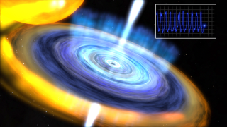 This animation compares the X-ray 'heartbeats' of GRS 1915 and IGR J17091, two black holes that ingest gas from companion stars. GRS 1915 has nearly five times the mass of IGR J17091, which at three solar masses may be the smallest black hole known. A fly-through relates the heartbeats to hypothesized changes in the black hole's jet and disk.For complete transcript, click here.