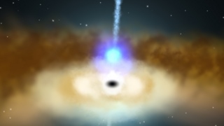 Astronomers using data from the European Space Agency's XMM-Newton satellite have found a long-sought X-ray signal from NGC 4151, a galaxy that contains a supermassive black hole. When the black hole's X-ray source flares, its accretion disk reflects the emission about half an hour later. The discovery promises a new way to unravel what's happening in the neighborhood of these powerful objects.   For complete transcript, click  here .