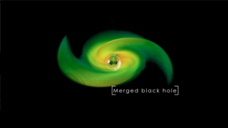 Supercomputer models of merging black holes reveal properties that are crucial to understanding future detections of gravitational waves. This movie follows two orbiting black holes and their accretion disk during their final three orbits and ultimate merger. Redder colors correspond to higher gas densities. This version has music and on-screen labels.  Credit: NASA's Goddard Space Flight Center/P. Cowperthwaite, Univ. of Maryland   For complete transcript, click  here .