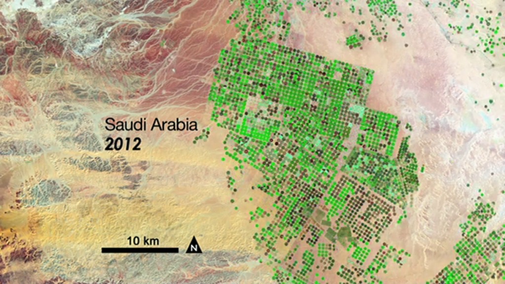 animation of increase in pivot-irrigated fields in the desert in northwestern Saudi Arabia, as seen by Landsat satellites from 1987-2012.  This image is in false-color, comprised of shortwave infrared, near infrared, and green wavelength signals.  Healthy vegetation shows as bright green.
