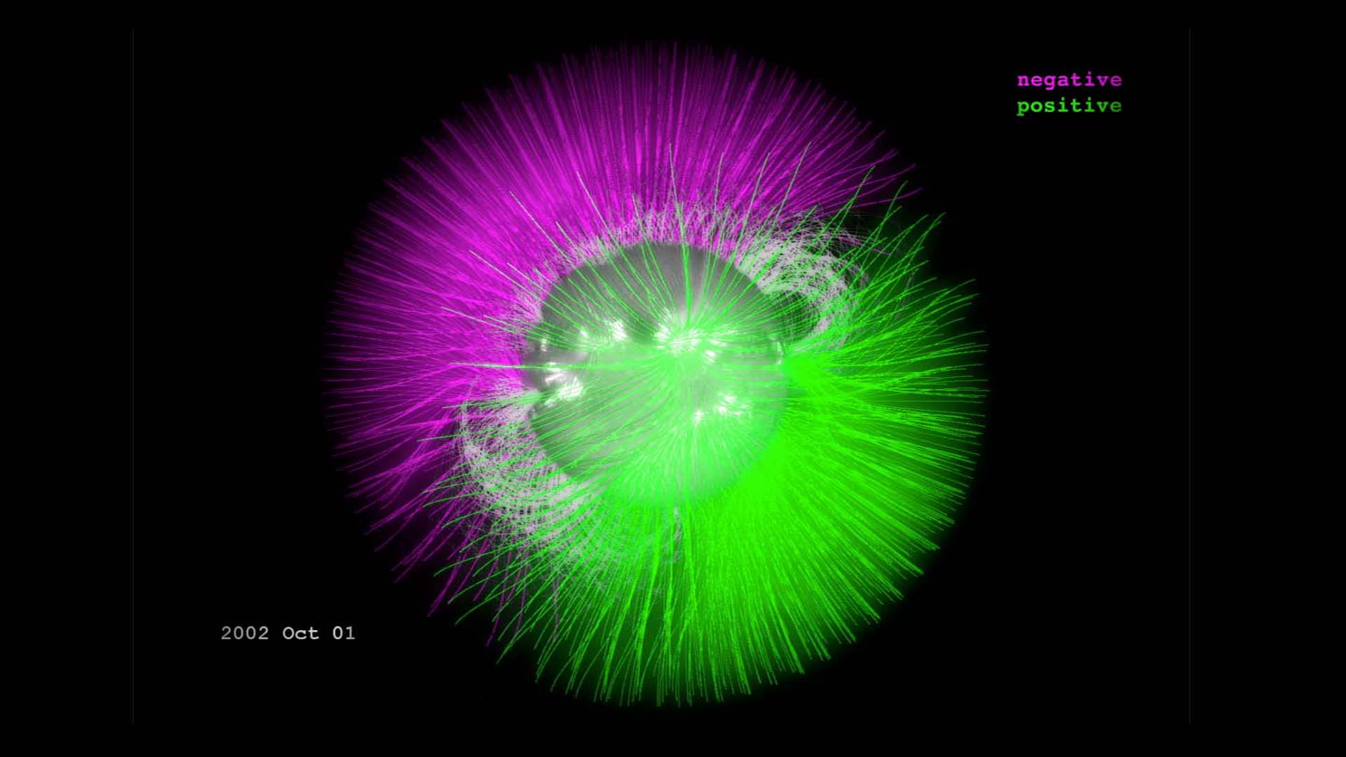 Watch this video on the NASA Goddard YouTube channel.This visualization shows the position of the sun's magnetic fields from January 1997 to December 2013. The field lines swarm with activity: The magenta lines show where the sun's overall field is negative and the green lines show where it is positive. Additional gray lines represent areas of local magnetic variation. The entire sun's magnetic polarity, flips approximately every 11 years – though sometimes it takes quite a bit longer – and defines what's known as the solar cycle. The visualization shows how in 1997, the sun shows the positive polarity on the top, and the negative polarity on the bottom. Over the next 16 years, each set of lines is seen to creep toward the opposite pole. By the end of the movie, the flip is almost complete. At the height of each magnetic flip, the sun goes through periods of more solar activity, during which there are more sunspots, and more eruptive events such as solar flares and coronal mass ejections, or CMEs. The point in time with the most sunspots is called solar maximum. 