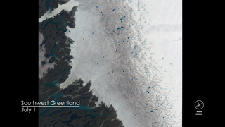 How deep is that icy blue water on Greenland's ice sheet?  Dr. Allen Pope, of the National Snow and Ice Data Center, is using data from the NASA/USGS Landsat 8 satellite to find out.  In this video, Dr. Pope shares what he sees when he looks at a Landsat image of the Greenland ice sheet just south of the Jakobshavn Glacier.

Because the lakes are darker than the ice around them, they absorb more energy from the sun. A little bit of melt concentrates in one place, and then melts more, establishing a feedback mechanism accelerating the growth of the lake. When the lakes get big enough they can force open fractures that then drill all the way down to the bed of the glacier, transporting this water to the base where it can temporarily speed up the flow of the ice.

Learn more about Dr. Pope's study here: http://earthobservatory.nasa.gov/IOTD/view.php?id=86564

NASA and the U.S. Department of the Interior through the U.S. Geological Survey (USGS) jointly manage the Landsat program, and the USGS preserves a 40-plus-year archive of Landsat images that is freely available over the Internet.