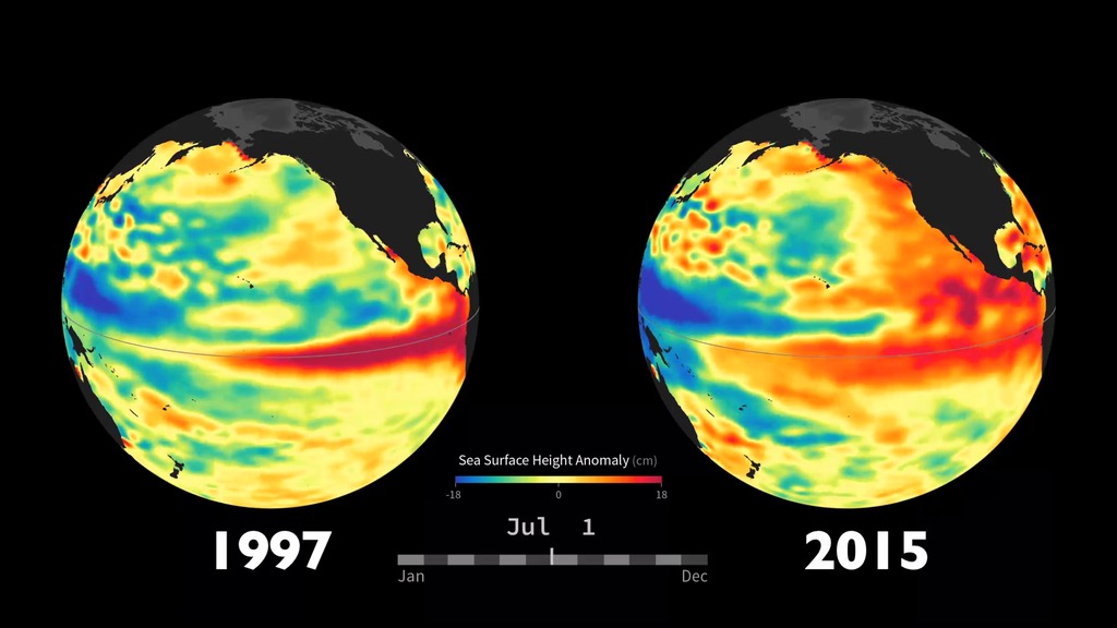 LEAD:  NASA's satellites are tracking the developing El Niño across the Pacific Ocean.  1. Ocean conditions in 2015 bear some similarities to the powerful 1997 El Niño. This NASA visualization shows side-by-side comparisons of Pacific Ocean sea surface height anomalies measured by satellites in 1997 and 2015. 2. Red shows where the ocean is above the normal sea level. 3. Blue shades indicate areas of lower sea levels. 4. Sea surface height is an indicator of the temperature of the water below. Above normal levels indicate warmer temperatures, below normal colder temperatures. 5. El Niño events are characterized by a mass of warm water migrating from Southeast Asia toward South America.TAG: Weather and climate forecasters are tracking El Niño closely because it could help steer beneficial rains to parts of drought-stricken California and the American West.