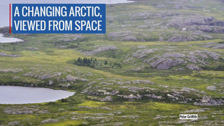 Link to Recent Story entitled: Details of Arctic Greening in North America